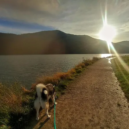 Ewcia Appartamento *